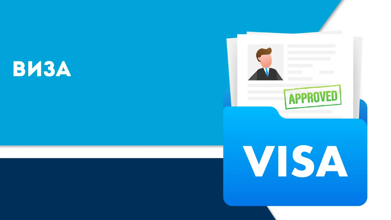 Виза